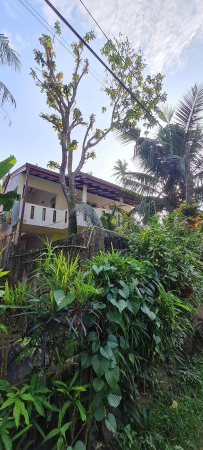 Wimala B&B Bentota Esterno foto