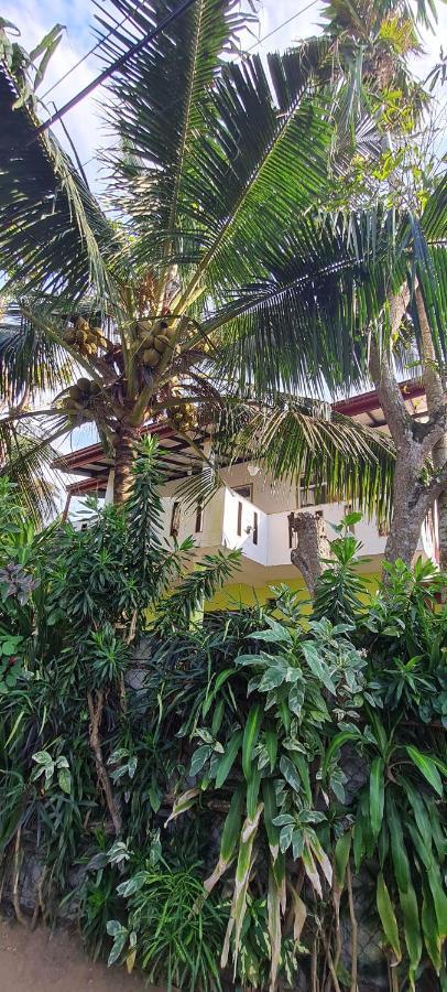 Wimala B&B Bentota Esterno foto