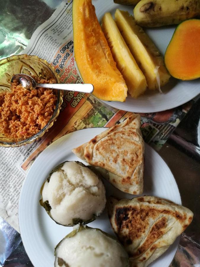 Wimala B&B Bentota Esterno foto